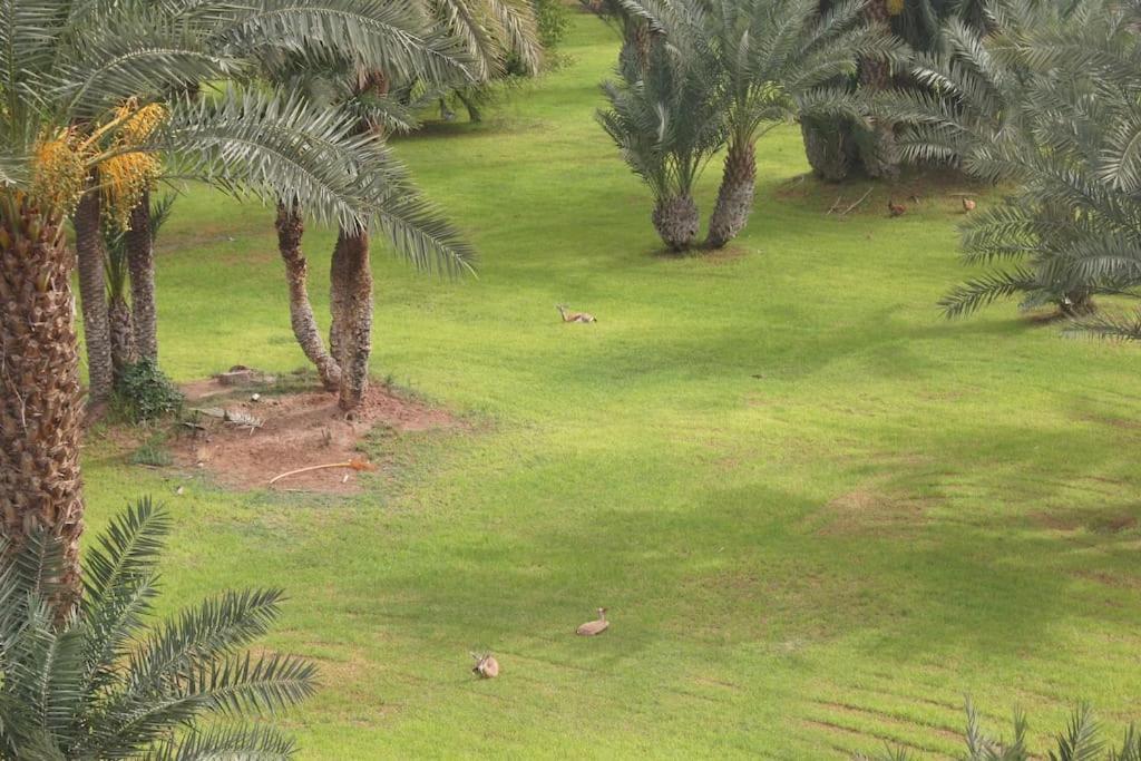 Riad Nolya Luxury Marrakech - Totalement Renove - Capacite Jusqu A 10 Lits Spacieux Marrakesh Ngoại thất bức ảnh